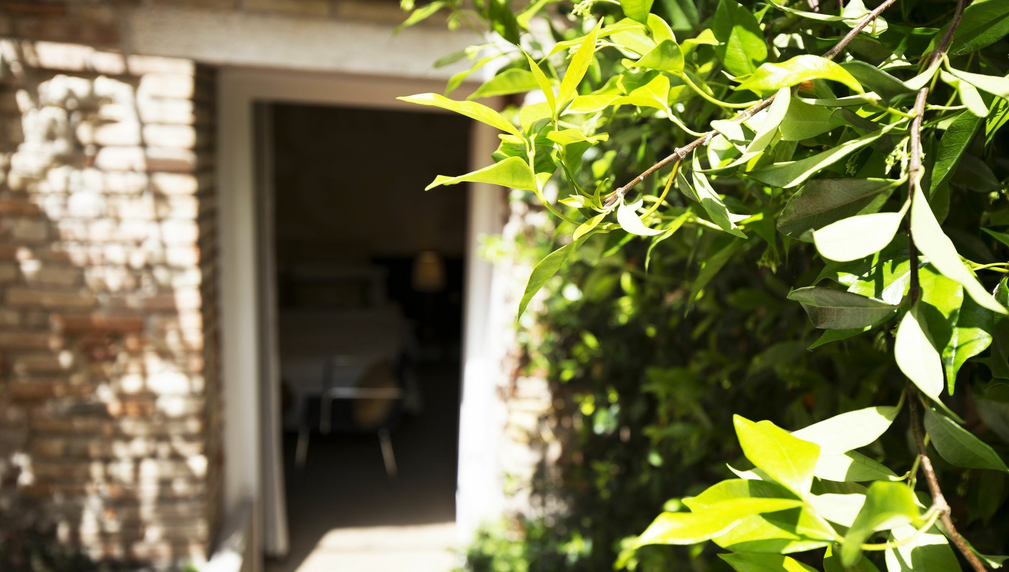 Avogaria 5 Rooms Wenecja Zewnętrze zdjęcie